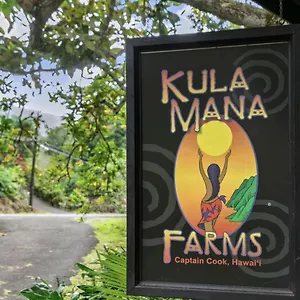  Apartment Kula Ohana United States